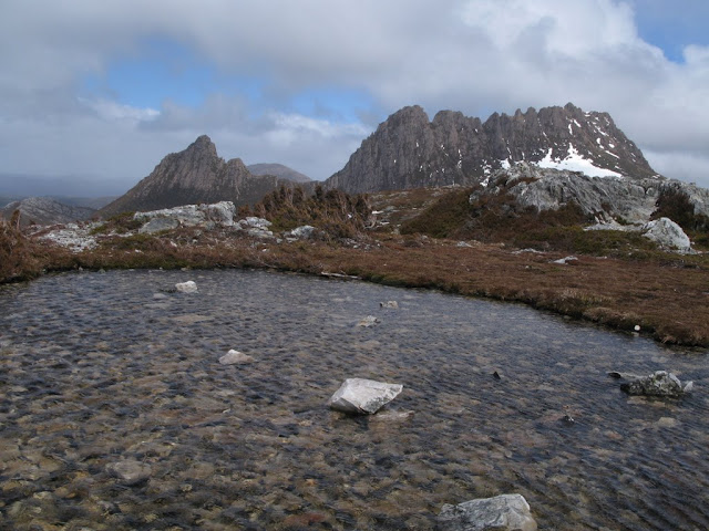 Craddle Moutain