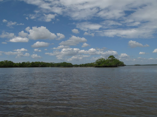 Everglades - Ten Thousand Islands