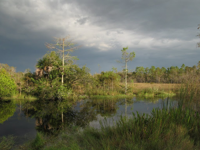 Big Cypress National Preserve
