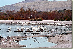 IMG_9136