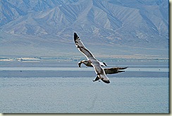 IMG_9138