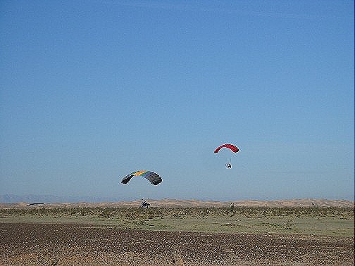 [gliders4.jpg]