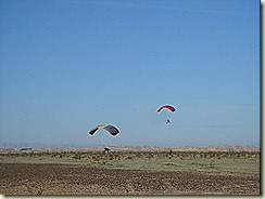 gliders