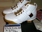 Nike Zoom LeBron V