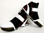 Nike Zoom LeBron V