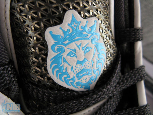 Ultimate Nike LeBron James ZLVI 8220Athlete8221 Showcase