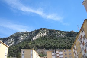 CIMG1559.JPG