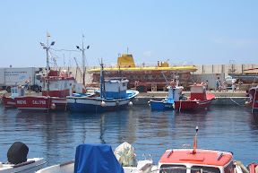 CIMG1775.JPG