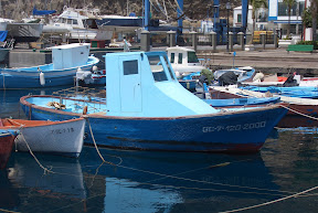 CIMG1774.JPG