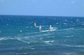 DSCF0024-1.JPG