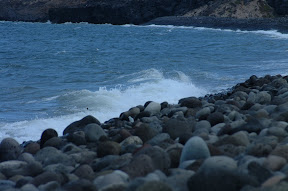 DSCF0176.JPG