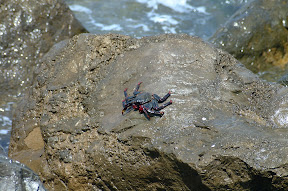 DSCF0139-2.JPG