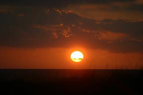 IMG_2542.jpg