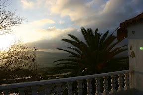 IMG_2555.jpg