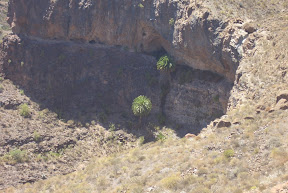 CIMG2011.JPG