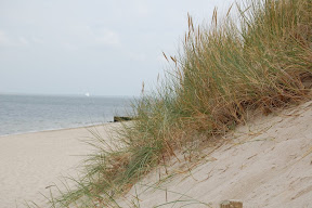 DSC_0053.JPG