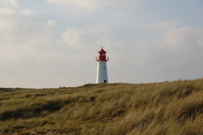 DSC_0404.JPG