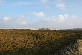 DSC_0407.JPG