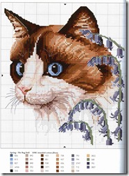 cat4