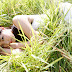 Hitomi Miyake - Bomb.tv ( 2 ) (39/39) (13)