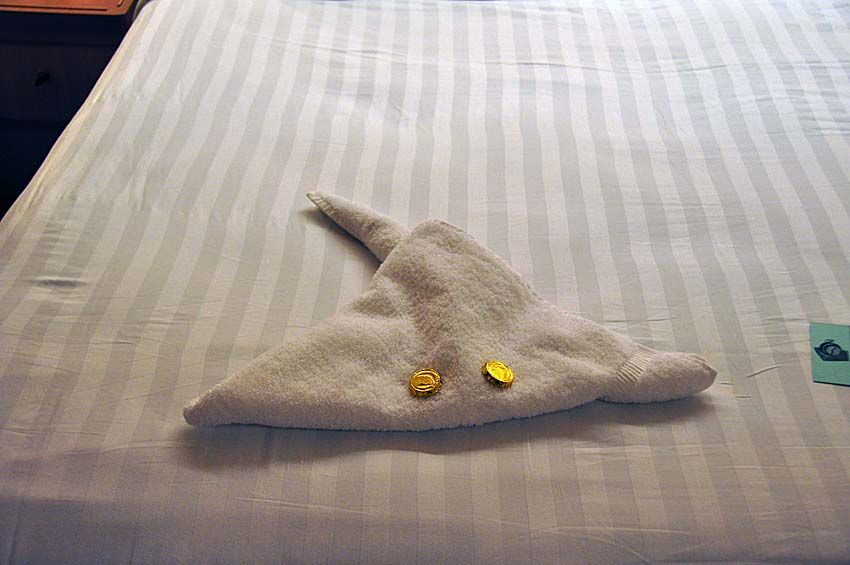 19 mei 2009