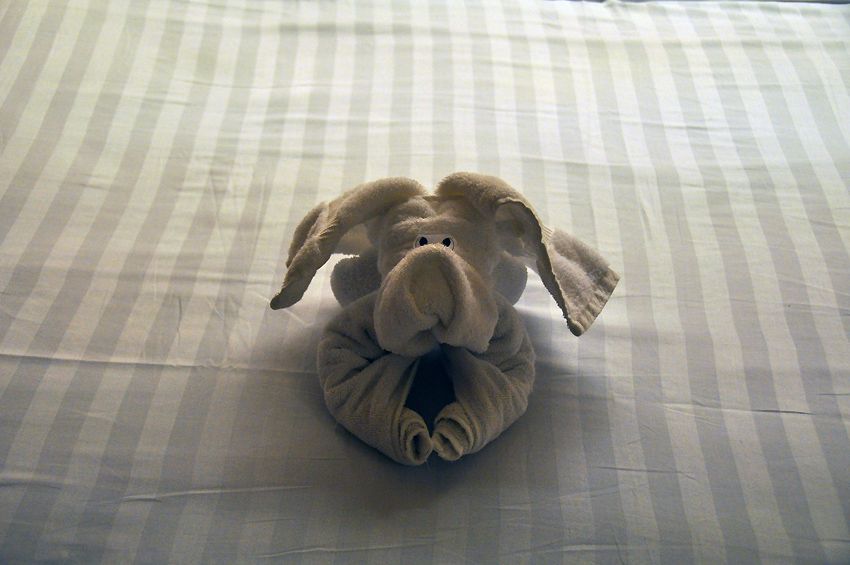 22 mei 2009