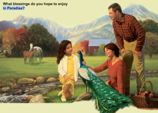 real+sex+felatio+seminar