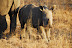 DSC_0407.JPG