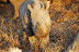 DSC_0447.JPG