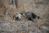 DSC_0464.JPG