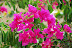 DSC_0180.JPG