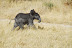 DSC_0269.JPG
