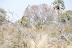 DSC_0456.JPG