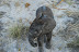 DSC_0020.JPG