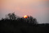 DSC_0197.JPG