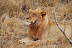 DSC_0320.JPG