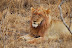 DSC_0328.JPG