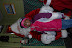 DSC_0249.JPG