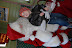 DSC_0043.JPG