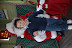 DSC_0192.JPG
