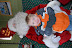 DSC_0018.JPG