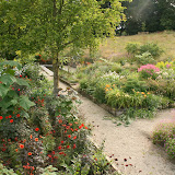 Garden Photos