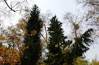 DSC_6292.JPG