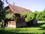 PIC_0177.JPG