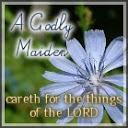 A Godly Maiden: Lacy's Blog