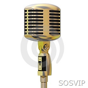 [VIP microfone[4].jpg]