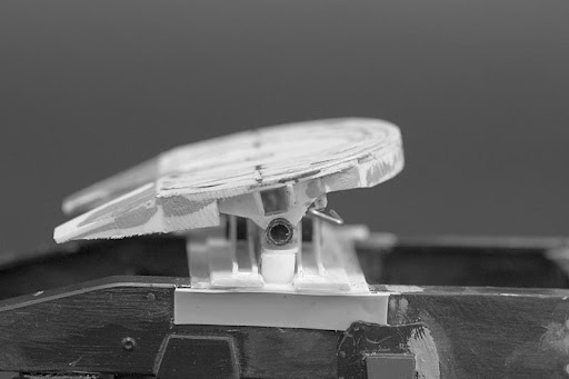 CRW_5302.jpg