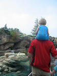 IMG_0327.JPG