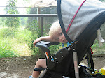IMG_0340.JPG
