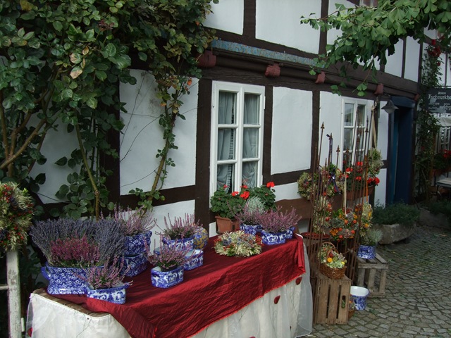 [2009_1004blogphotos00364.jpg]